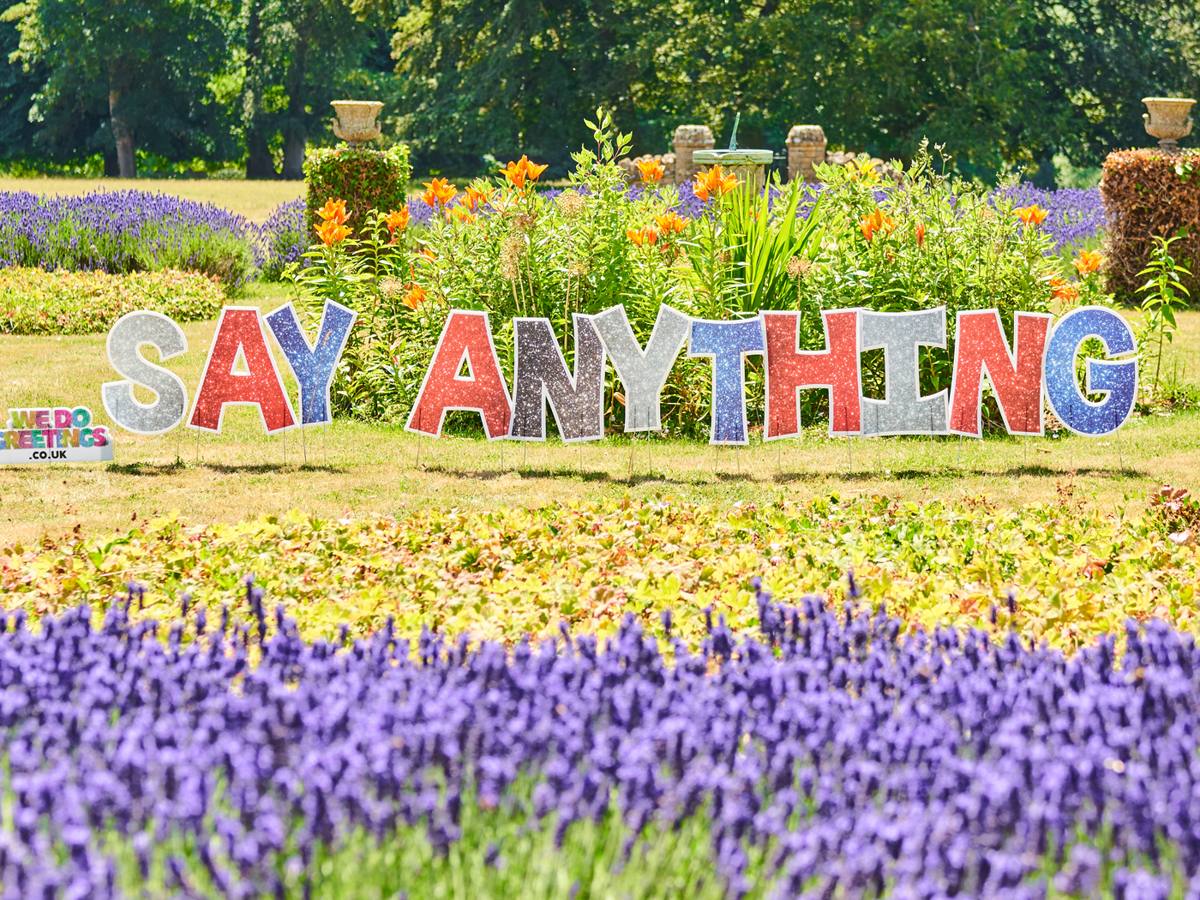 Say Anything in glitter letters in a lavender garden